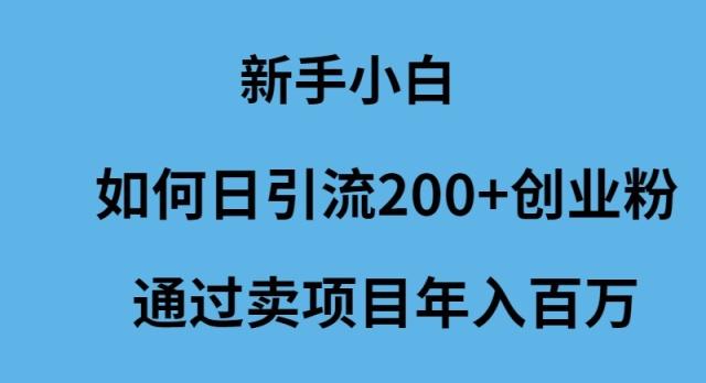 (9668期)新手小白如何日引流200+创业粉通过卖项目年入百万-指尖网