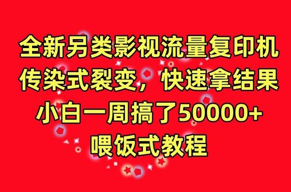 全新另类影视流量复印机，传染式裂变，快速拿结果，小白一周搞了50000+，喂饭式教程【揭秘】-指尖网