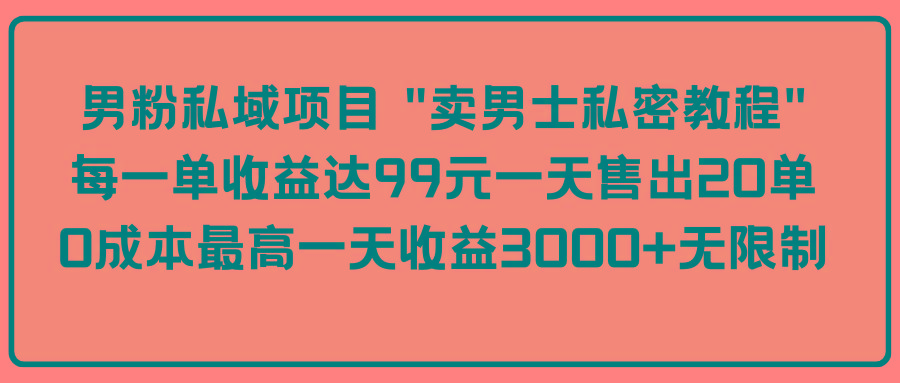 (9730期)男粉私域项目 "卖男士私密教程" 每一单收益达99元一天售出20单-指尖网