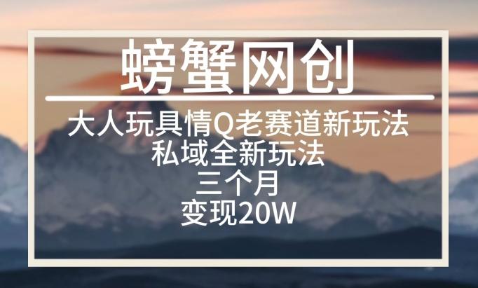 大人玩具情Q用品赛道私域全新玩法，三个月变现20W，老项目新思路【揭秘】-指尖网