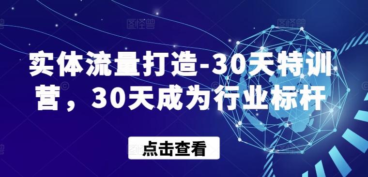 实体流量打造-30天特训营，30天成为行业标杆-指尖网