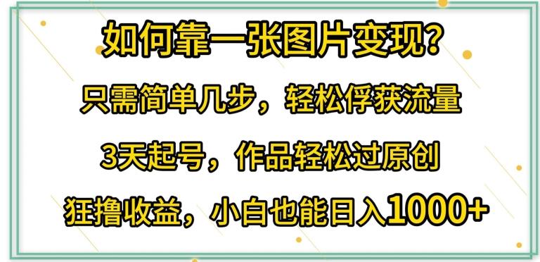 如何靠一张图片变现?只需简单几步，轻松俘获流量，3天起号，作品轻松过原创【揭秘】-指尖网