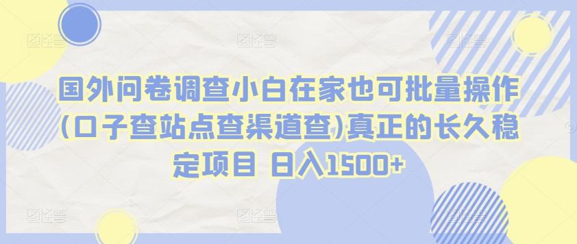 国外问卷调查小白在家也可批量操作(口子查站点查渠道查)真正的长久稳定项目 日入1500+【揭秘】-指尖网