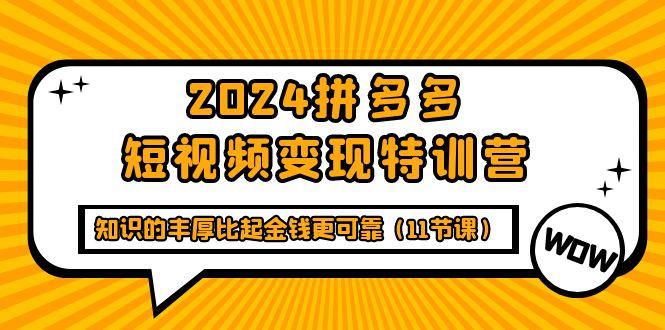 (9817期)2024拼多多短视频变现特训营，知识的丰厚比起金钱更可靠(11节课)-指尖网