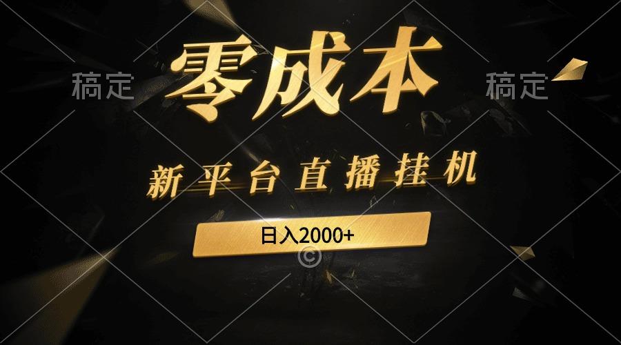 (9841期)新平台直播挂机最新玩法，0成本，不违规，日入2000+-指尖网