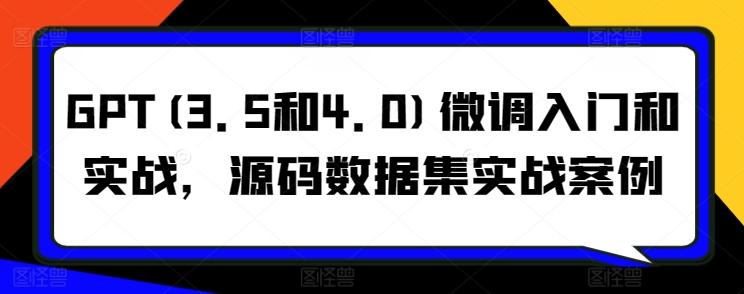 GPT(3.5和4.0)微调入门和实战，源码数据集实战案例-指尖网