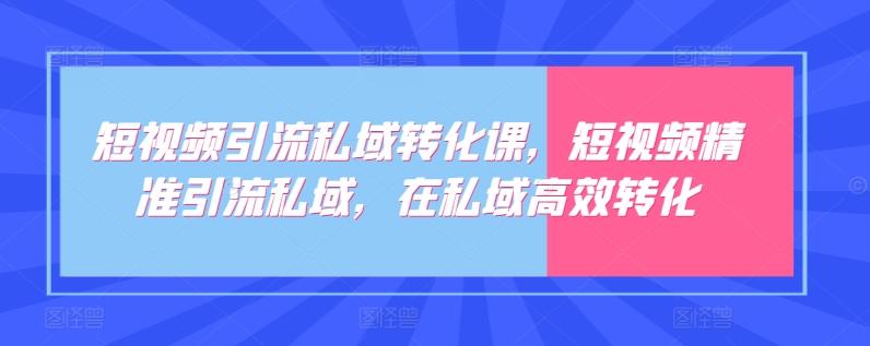 短视频引流私域转化课，短视频精准引流私域，在私域高效转化-指尖网