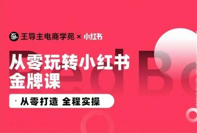 王导主·小红书电商运营实操课，​从零打造  全程实操-指尖网