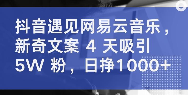 抖音遇见网易云音乐，新奇文案 4 天吸引 5W 粉，日挣1000+【揭秘】-指尖网