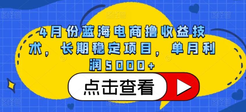 4月份蓝海电商撸收益技术，长期稳定项目，单月利润5000+【揭秘】-指尖网