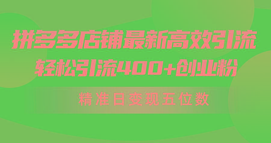 (10041期)拼多多店铺最新高效引流术，轻松引流400+创业粉，精准日变现五位数！-指尖网