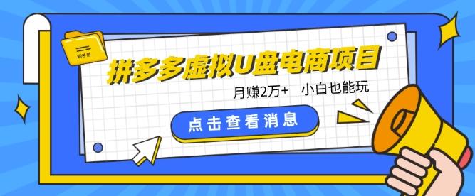 拼多多虚拟U盘电商红利项目：月赚2万+，新手小白也能玩-指尖网