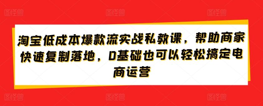 淘宝低成本爆款流实战私教课，帮助商家快速复制落地，0基础也可以轻松搞定电商运营-指尖网