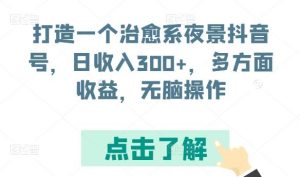 打造一个治愈系夜景抖音号，日收入300+，多方面收益，无脑操作【揭秘】-指尖网