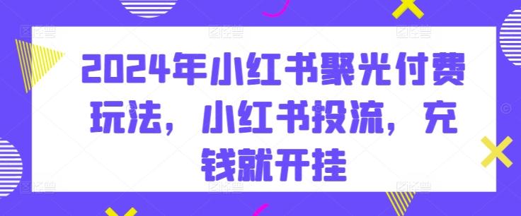 2024年小红书聚光付费玩法，小红书投流，充钱就开挂-指尖网