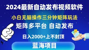 2024最新视频矩阵玩法，小白无脑操作，轻松操作，3分钟一个视频，日入2k+-指尖网