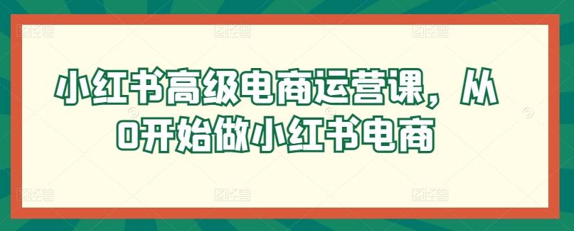 小红书高级电商运营课，从0开始做小红书电商-指尖网