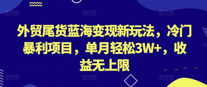 外贸尾货蓝海变现新玩法，冷门暴利项目，单月轻松3W+，收益无上限【揭秘】-指尖网