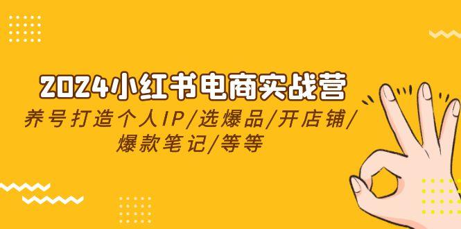 2024小红书电商实战营，养号打造IP/选爆品/开店铺/爆款笔记/等等(24节)-指尖网