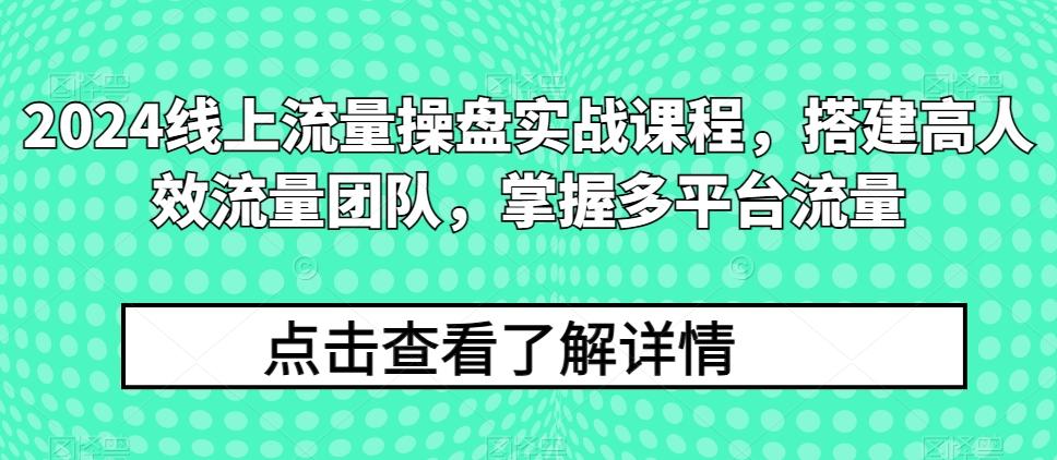 2024线上流量操盘实战课程，搭建高人效流量团队，掌握多平台流量-指尖网