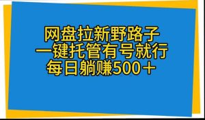 网盘拉新野路子，一键托管有号就行，全自动代发视频，每日躺赚500＋-指尖网