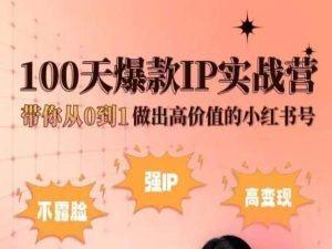 小红书100天爆款IP实战营，带你从0到1做出高价值的小红书号-指尖网