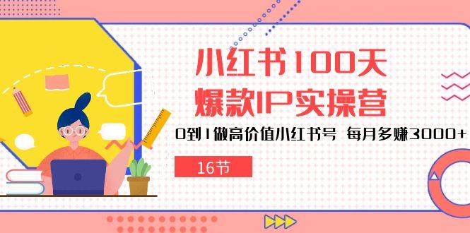 小红书100天-爆款IP实操营，0到1做高价值小红书号 每月多赚3000+(16节-指尖网