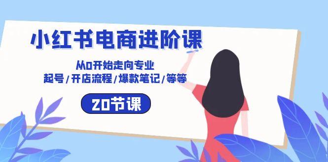 小红书电商进阶课：从0开始走向专业 起号/开店流程/爆款笔记/等等(20节-指尖网