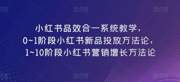 小红书品效合一系统教学，​0~1阶段小红书新品投放方法论，​1~10阶段小红书营销增长方法论-指尖网