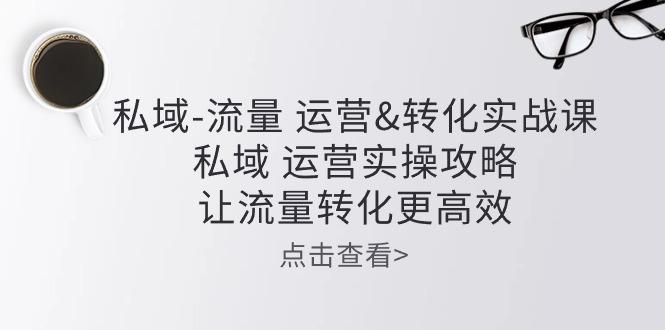 私域-流量 运营&转化实操课：私域 运营实操攻略 让流量转化更高效-指尖网