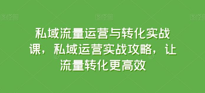 私域流量运营与转化实战课，私域运营实战攻略，让流量转化更高效-指尖网