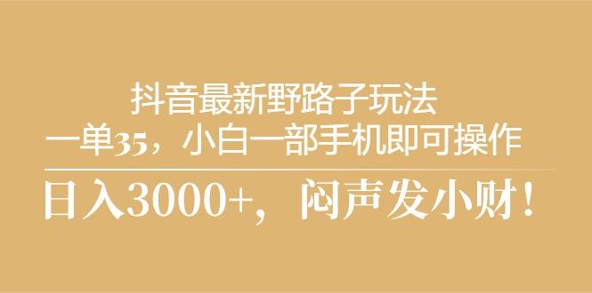 抖音最新野路子玩法，一单35，小白一部手机即可操作，，日入3000+，闷...-指尖网