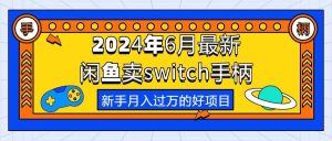 2024年6月最新闲鱼卖switch游戏手柄，新手月入过万的第一个好项目-指尖网