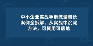 中小 企业 实操手册-流量增长案例拆解，从实操中沉淀方法，可复用可落地-指尖网