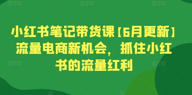 小红书笔记带货课【6月更新】流量电商新机会，抓住小红书的流量红利-指尖网