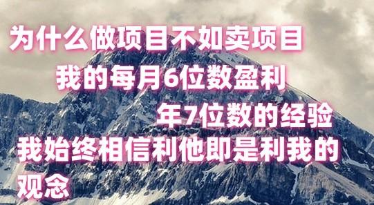 做项目不如卖项目，每月6位数盈利，年7位数经验-指尖网