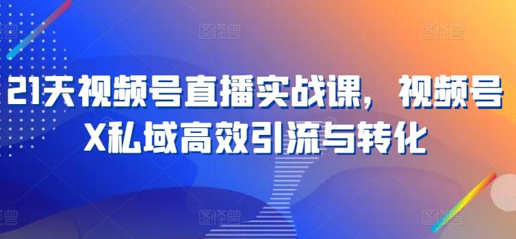 21天视频号直播实战课，视频号X私域高效引流与转化-指尖网