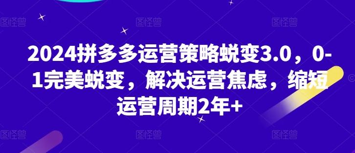 2024拼多多运营策略蜕变3.0，0-1完美蜕变，解决运营焦虑，缩短运营周期2年+-指尖网