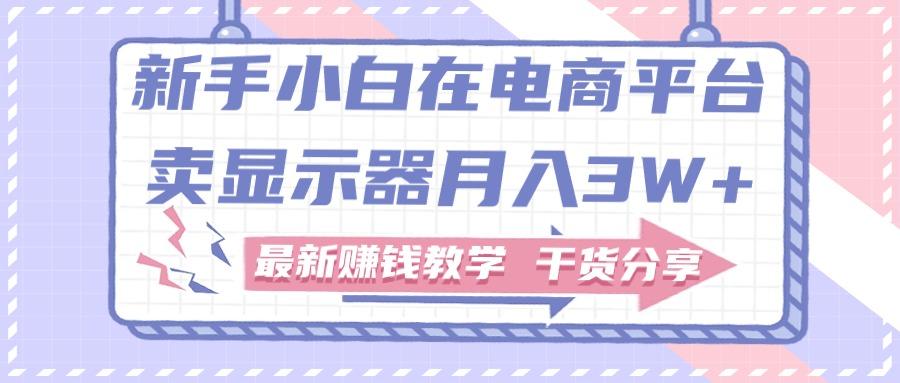 新手小白如何做到在电商平台卖显示器月入3W+，最新赚钱教学干货分享-指尖网