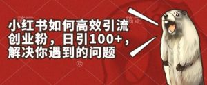 小红书如何高效引流创业粉，日引100+，解决你遇到的问题【揭秘】-指尖网