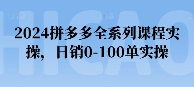 2024拼多多全系列课程实操，日销0-100单实操【必看】-指尖网