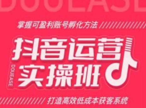 抖音运营实操班，掌握可盈利账号孵化方法，打造高效低成本获客系统-指尖网