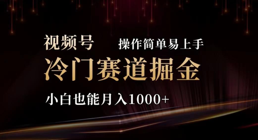 2024视频号冷门赛道掘金，操作简单轻松上手，小白也能月入1000+-指尖网