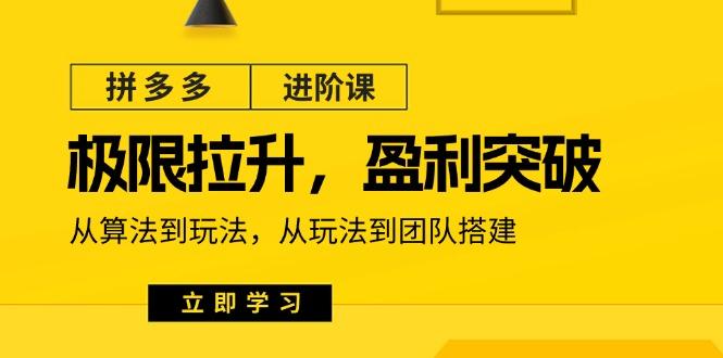 拼多多·进阶课：极限拉升/盈利突破：从算法到玩法 从玩法到团队搭建-18节-指尖网