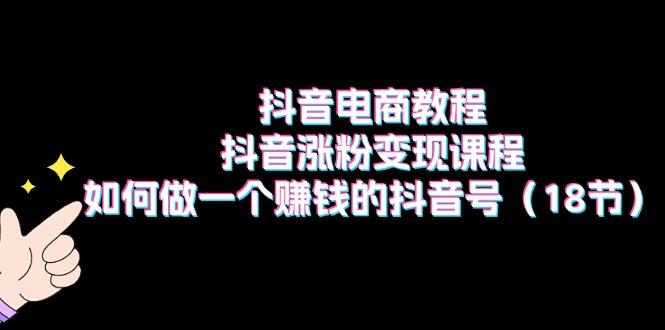 抖音电商教程：抖音涨粉变现课程：如何做一个赚钱的抖音号(18节-指尖网