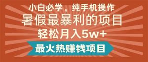 小白必学，纯手机操作，暑假最暴利的项目轻松月入5w+最火热赚钱项目-指尖网