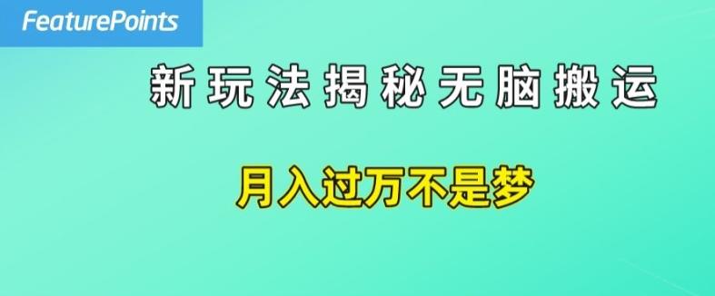 简单操作，每天50美元收入，搬运就是赚钱的秘诀【揭秘】-指尖网