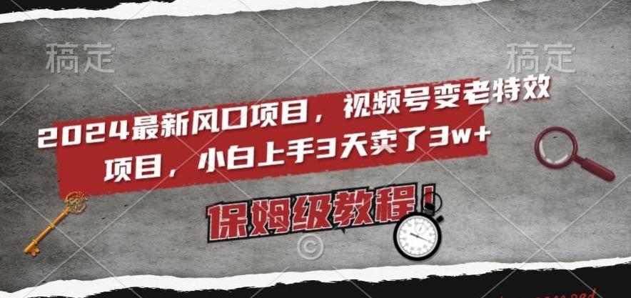 2024最新风口项目，视频号变老特效项目，电脑小白上手3天卖了3w+，保姆级教程【揭秘】-指尖网