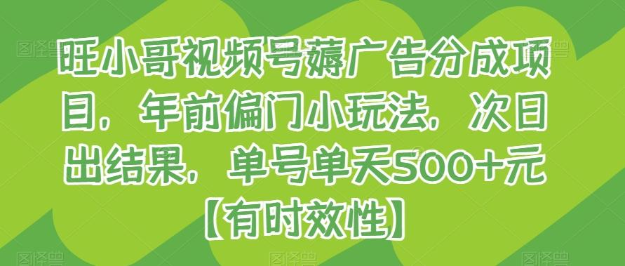 旺小哥视频号薅广告分成项目，年前偏门小玩法，次日出结果，单号单天500+元【有时效性】-指尖网