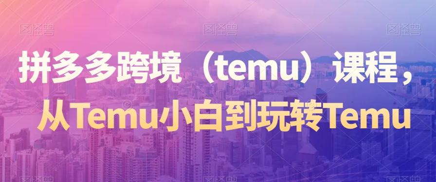 拼多多跨境（temu）课程，从Temu小白到玩转Temu-指尖网